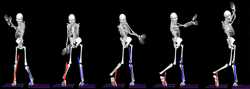 εμβιομηχανική-human biomechanics