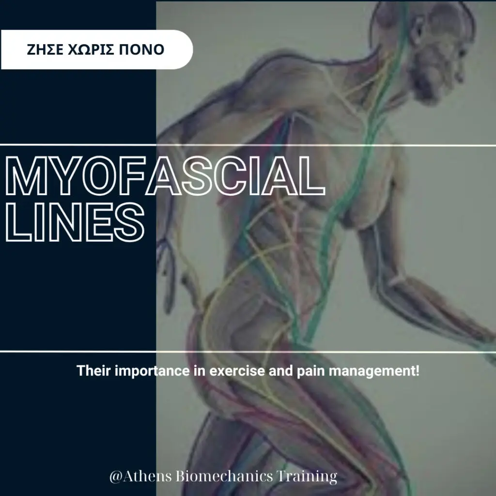 Myofascial Chains