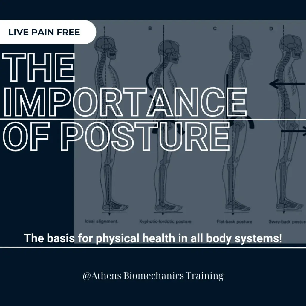 The Importance of Body Posture and the Role of the Myofascial Tissue