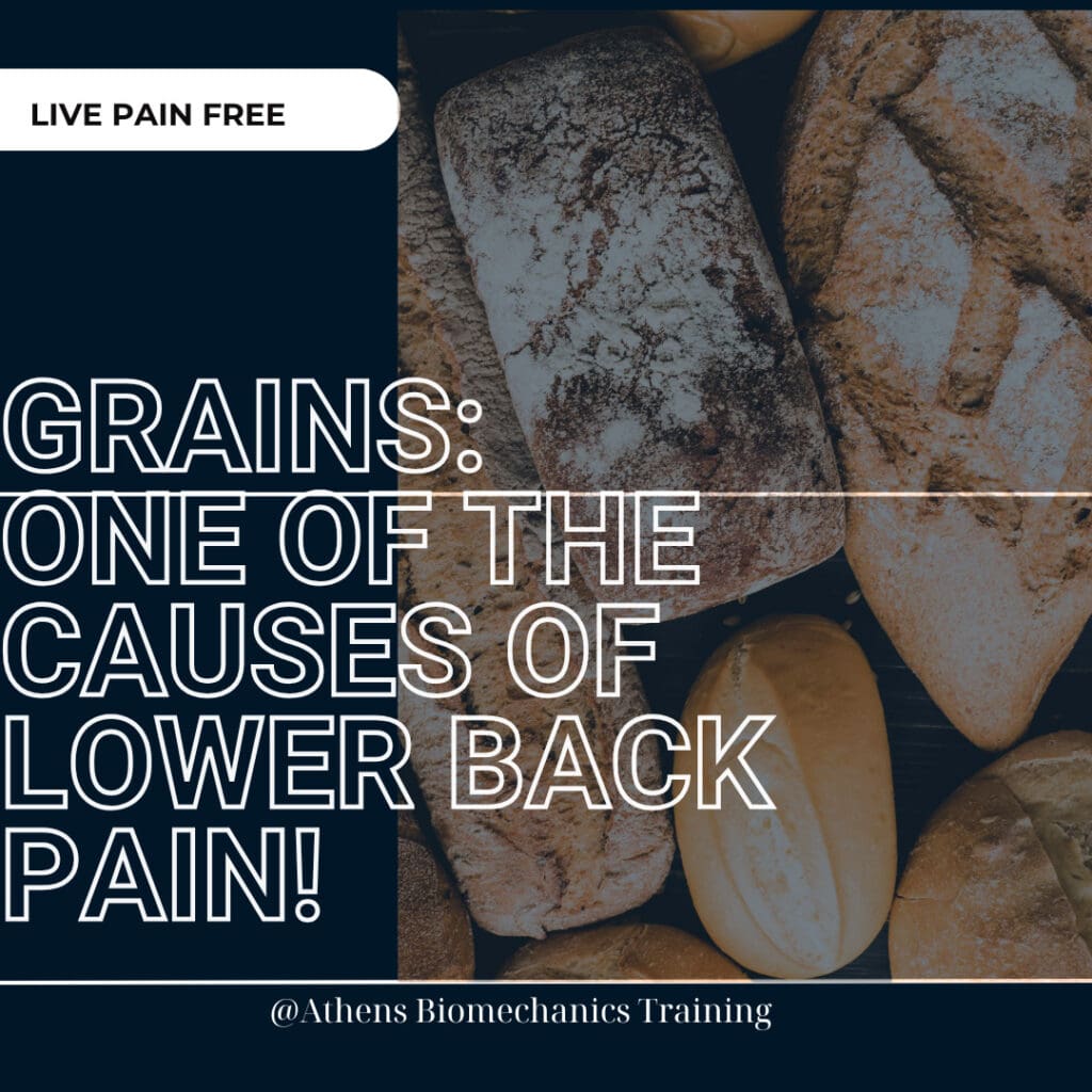 NUTRITION AND BACK PAIN: THE ROLE OF GRAIN FOOD